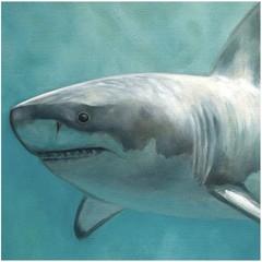 Lauren Pretorius Girl With Shark original oil painting on wood, 16” x 16”