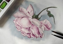 FLOWER PINK ROSE Original Artwork Painting Floral Landscape Art Wall Gift Sig A5