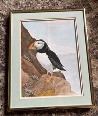 9”x11.5” Puffin Framed Watercolor Wall Art Signed J Holden Oregon Coast Sealife