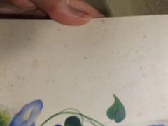 Antique Late 19th C Original Watercolor Mourning Art Morning Glory Cross Grave