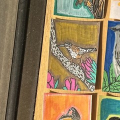 ACEO original art card Arizona State Bird Cactus Wren (3/50)