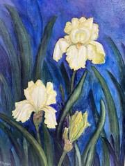 Original Framed Oil Art Floral Yellow Iris on a blue Background Signed 24”x18”