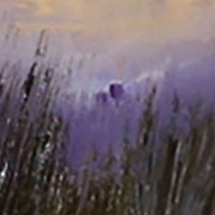 UKRAINE LANDSCAPE Oil painting contemporary 8×8 UKRAINE