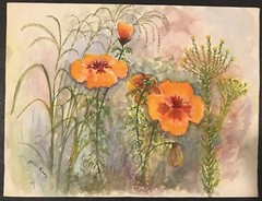 MILLI KOON – Wholesale Lot Of 8 Assorted Vintage Watercolors – Signed