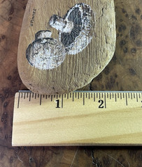 Vintage Tiny Hand painted Mushrooms On Drift Wood Signed 70s Wall Decor