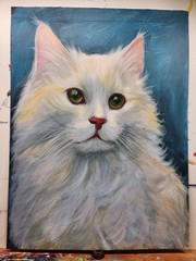 Original Painting of a cat, 9×12 inches, Original oil Painting