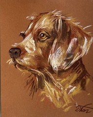 Original Pastel Dog Portrait Expressive Animal Art Framed