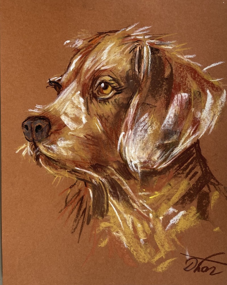 Pastel Painting Drawing Dorothy Laz Dog Animals