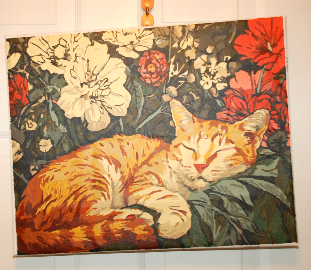 Cat at rest Completed Paint by Number 16X20 Canvas