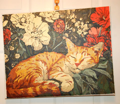 Cat at rest Completed Paint by Number 16X20 Canvas