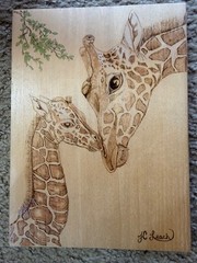 Pyrography Giraffes Mother & Calf Wall Hanging Art Signed JC Leach