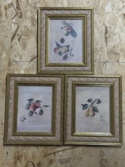 Signed by Fabrice de Villeneuve Prints w/Custom Wood Frame & glass-Lot of 3
