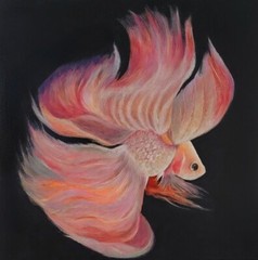 Oil Painting Pink Beta Fish Tropical Aqua Animal Original Square Art