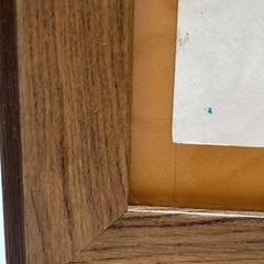 Original Water colored Painting of Alpaca Smiling. Wooden Frame.