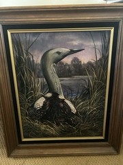 Artic Loon Oil Painting Velvet DANIEL TYREE 1980 Art Original FREE SHIP