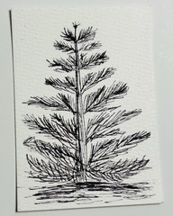 ACEO Original Pen And Ink Lanscape Nature Sketch Drawing Miniature Art