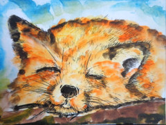 ACEO Original WILDLIFE SLEEPING RED FOX Watercolor Painting