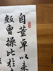 Unframed Chinese Calligraphy Freehand Longzhong Plan 隆中對2649