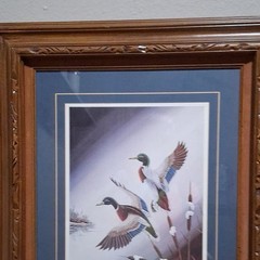 ducks unlimited