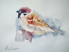 Sparrow, Birds, Watercolor artwork, Handmade, Original painting on paper