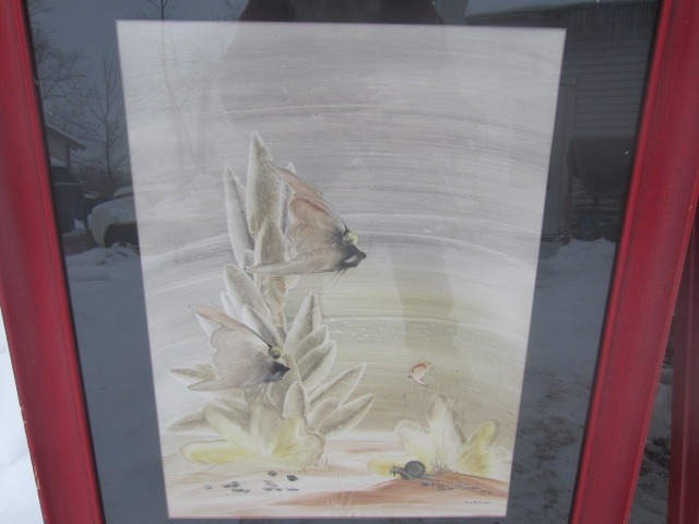 Gen Matucha FINGER PAINTING ANGEL Fish FRAMED Genevieve SNAIL