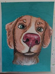 ACEO, Original Contemporary Dog Head Portrait Painting Teal Background Unframed