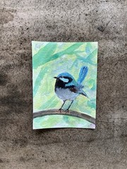 ACEO By Kenna Blue Fairy Wren Bird Gouache Painting 2.5” X 3.5” Signed ATC