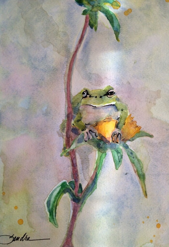 Frog on a Flower : Signed LE Art Print: Sandra Watercolors™ California
