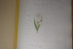 IMPORTANT EARLY AMERICAN FRIENDSHIP PAINTING ALBUM Mary Balmanno Eliza Quincy +