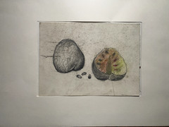 Franz Ehmke 1928 – 2018 Berlin Pastel & Pencil Still Life Fruit Stamp