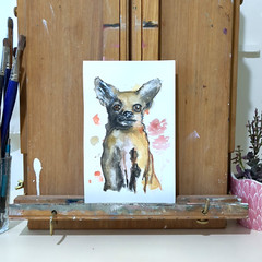 Original Watercolor Painting Cute Chihuahua Pet Portrait 9×6 by JJ