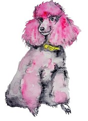 Original Gray Pink poodle dog art,home,office interior design,dog lover bestgift
