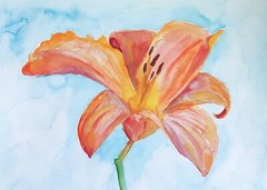 watercolor paintings original