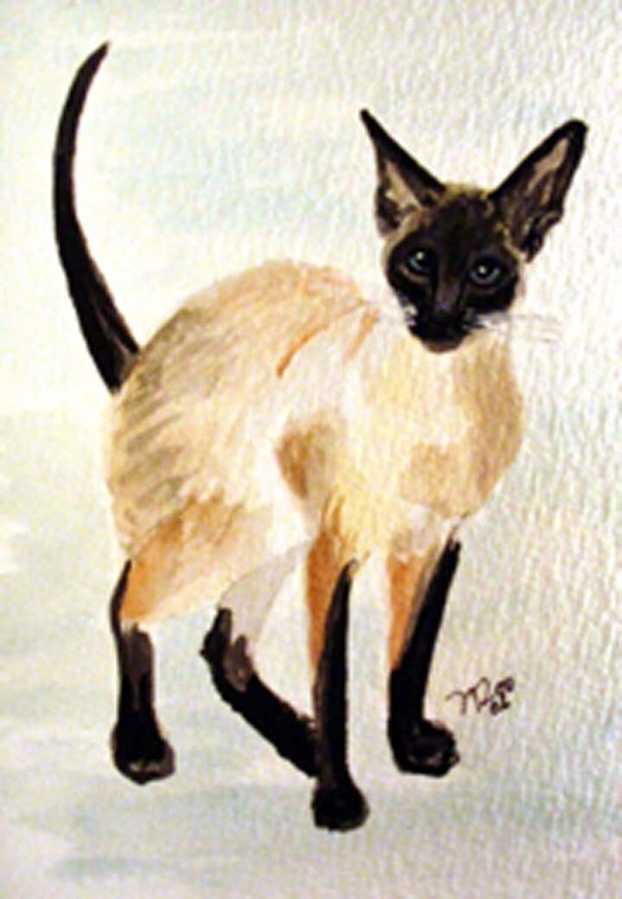 Siamese Cat standing ACEO PRINT of Original Water Color painting
