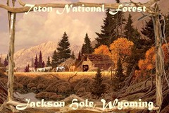 Wholesale Lot Of 15 National Parks Travel Posters All Diffrent Art can Resell