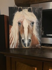 Original acrylic painting- horse on canvas 16x20x0.5 in, wall decor,