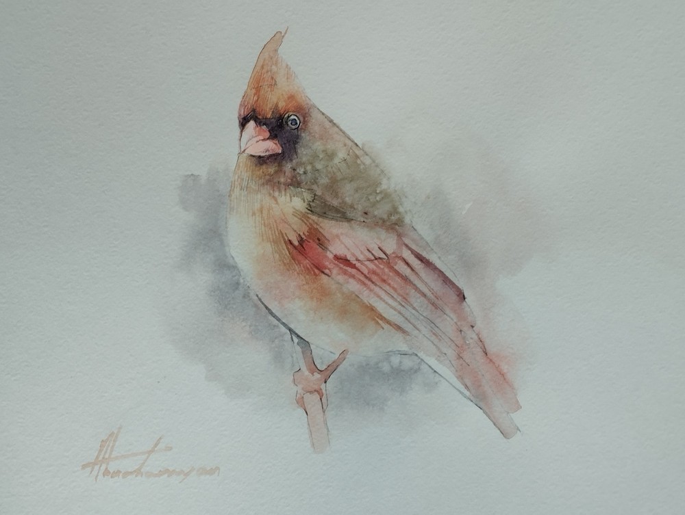 Cardinal, Birds, Watercolor artwork, Handmade, Original painting on paper