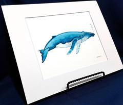 Humpback Whale Original watercolor 8″x10″ in 11×14″ acid free Matt