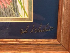 John S Eberhardt, Wildlife Artist, Signed Original Watercolor Bluebird Painting