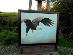 Majestic American Eagle in Flight, an Original Oil Painting. Excellent Conditon.