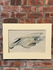 C1910 Max Kuehne Original Watercolor Study Of A Mandible. Signed