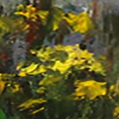 LANDSCAPE Oil painting contemporary 8x12UKRAINE