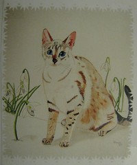 C59 ORIGINAL ACRYLIC PAINTING BY LJH „SAM & JAS“ CAT KITTEN