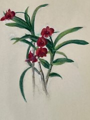 Lot of 5 watercolor floral unsigned Albert Matysek Vet WWll – 3471