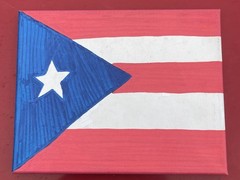 The Flag Of Puerto Rico Hand Painted Canvas🇵🇷❤️🏝️🌊☀️🐸