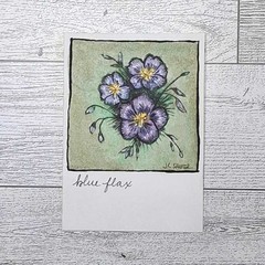 Original ACEO Blue Flax Flower #1 2.5×3.5 Hand Enhanced Intaglio Print