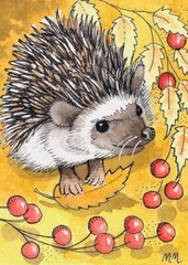 ACEO Limited Edition – Heggie Hog print of Original watercolor by Monica Minto