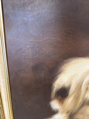 Vintage Signed Real Framed Oil On Canvass Painting Pet Dog Shitzu Puppy 31×26”