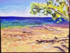 „Theodora Pavlou“ OOAK, Double Signed Plein Air „Fresh Water Vibes“ Framed 10×12