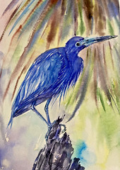 Great Heron Bird Watercolor Original Painting